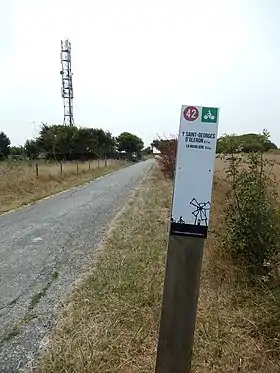 Une route du réseau cyclable de l'île d'Oléron, à Saint-Denis-d'Oléron.