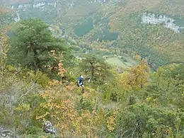 Coureurs dans la montée vers la ferme du Cade, en 2015