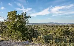 Vue de la plaine depuis la montagne de la Gardiole en 2014.