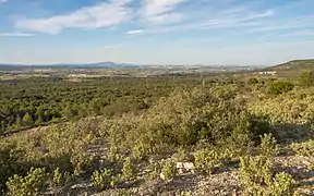 Vue depuis le sud dans la montagne de la Gardiole en 2014.