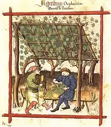 Vigne conduite en ramadaTacuinum Sanitatis (1474),Paris, Bibliothèque nationale, Ms. lat. 9333