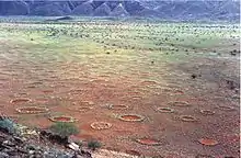 Densité des cercles de fées en Namibie.