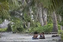 Quatre enfants sont assis sur un sol gris sous des cocotiers au tronc gris-brun et aux palmes vertes.