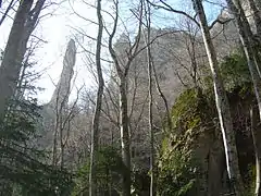 Falaises dans la forêt de Saou.