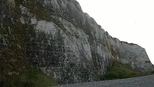 Moitié inférieure de la falaise de Saint-Valery-en-Caux.