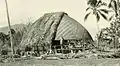 Construction d'un fale aux Samoa en 1902.