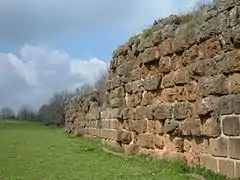 La muraille de Falerii Novi
