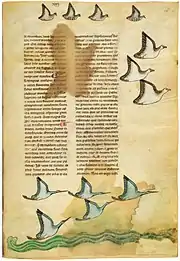 De arte venandi cum avibus (vers 1241-1248)