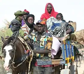 Bélédougou attelé à Djenné