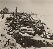 Morts de la famine en Russie, photographie de Fridtjof Nansen, 1921