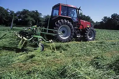 Fanage d'andains de faucheuse avec une faneuse à rotors.