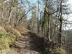 Le GR 36 près du château d'Auberoche.