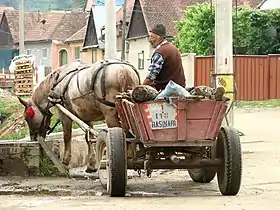 Charette attelée d'un cheval qui s'abreuve dans une fontaine