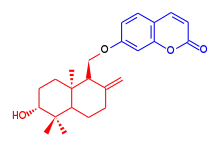 Formule topologique d'un composé aromatique bicyclique de type benzopyrane lié par pont éther-oxyde à une chaîne à quinze carbones bicyclique et hydroxylée.