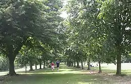Allée engazonnée bordée d'arbres des deux côtés, où marchent deux personnages