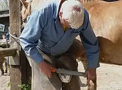 Finition du parage avec la râpe.