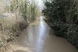 Fausse Rivière à Coulommiers