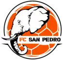 Logo du FC San-Pédro