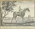 Fearnought, un cheval appartenant au duc de Bolton, fils de Bay Bolton, né en 1725, imprimé d'après John Wootton .