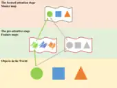 Image en trois parties, dans laquelle trois objets (en bas) sont identifiés séparément (au milieu) par leur couleur et leur forme avant d'être identifiés (en haut) comme objets possédant ces caractéristiques.