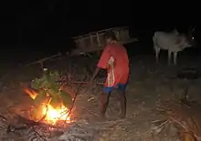 Un homme tient des cladodes effilés de cactus au-dessus d'un feu de camp nocturne