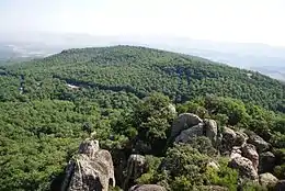 Parc national d'El Feija