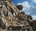 Vestiges de la route menant au château du côté sud