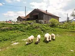 Ferme des Louisots (XVe siècle-XIXe siècle)