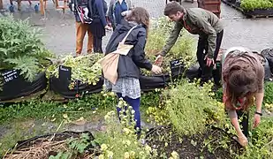 La ferme urbaine de Lille, derrière la gare, vue lors de la fête de l'environnement et des solidarités en mai 2016.