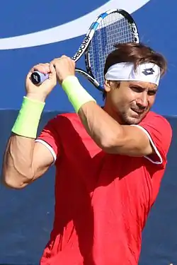 Image illustrative de l’article David Ferrer