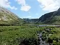 Pelouse d'altitude vers Ferry Gulch et Gros-Morne.