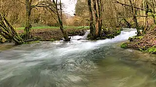 Marmite de géant sur le ruisseau de Norvaux.