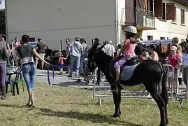 Promenades enfants, journée de l'âne.