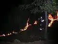 Feu tactique allumé de nuit par le pôle DFCI de l'ONF durant l'incendie de la Colle Noire en 2005.