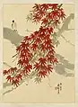 Feuilles d'érable rouges, Chen Shuren (1883-1946), papier, encre, couleurs (pigments).