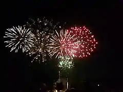 Feux d'artifice organisés pour le 14 juillet 2019.