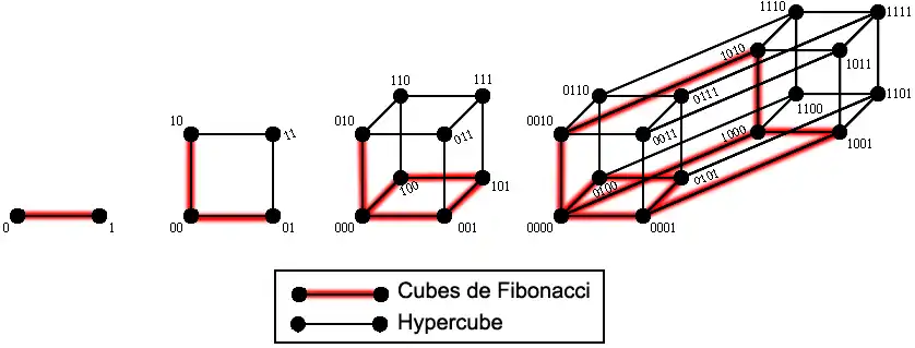 Les cubes de Fibonacci 
        F
          C
            1
        ,
        F
          C
            2
        ,
        F
          C
            3
        ,
        F
          C
            4
    {\displaystyle FC_{1},FC_{2},FC_{3},FC_{4}}
 comme sous-graphes des hypercubes 
          Q
            1
        ,
          Q
            2
        ,
          Q
            3
        ,
          Q
            4
    {\displaystyle Q_{1},Q_{2},Q_{3},Q_{4}}
.