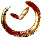 logo de Fiedler (entreprise)