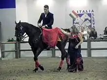 Photo montrant un cavalier sur un cheval noir, à sa gauche une femme en robe noire