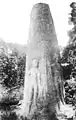 Figure of Mars carved on a Gallo-Roman menhir. Wellcome M0016022