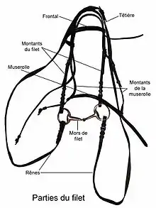 Schéma présentant les différentes parties d'un filet.