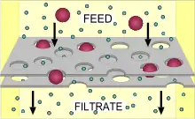 Diagramme de filtration simple : les particules les plus grosses du «flux» ne peuvent pas traverser le réseau.