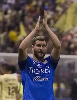 Image illustrative de l’article André-Pierre Gignac