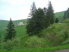 Les derniers hectomètres de l'ascension à la sortie de la forêt. Vue notamment sur la ferme-auberge de Rothenbrunnen.