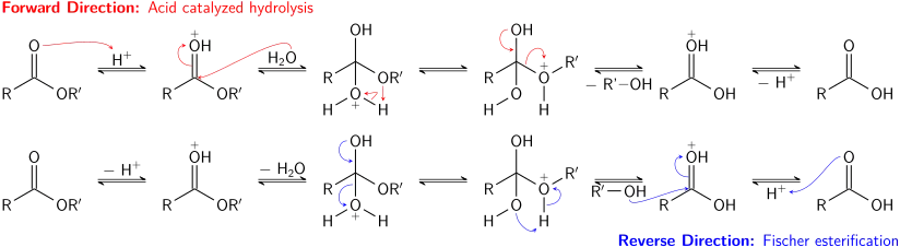 Hydrolyse acide d'un ester et estérification Fischer, deux réactions inverses correspondant à un équilibre chimique.