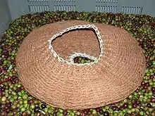 Scourtin traditionnel en fibres de coco (Sardaigne).