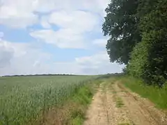 Chemin longeant la limite ouest du bois de la Frête.