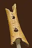 Fragment d'un fémur d'ours découvert en 1995 dans la grotte de Divje Babe. Paléolithique moyen. Pourrait être la plus ancienne flûte connue.