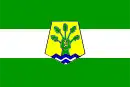 Drapeau de Province de Benslimaneⵜⴰⵙⴳⴰ ⵏ ⴰⵢⵜ ⵙⵍⵉⵎⴰⵏ