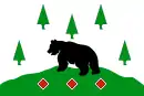 Drapeau de Raïon de Boksitogorsk